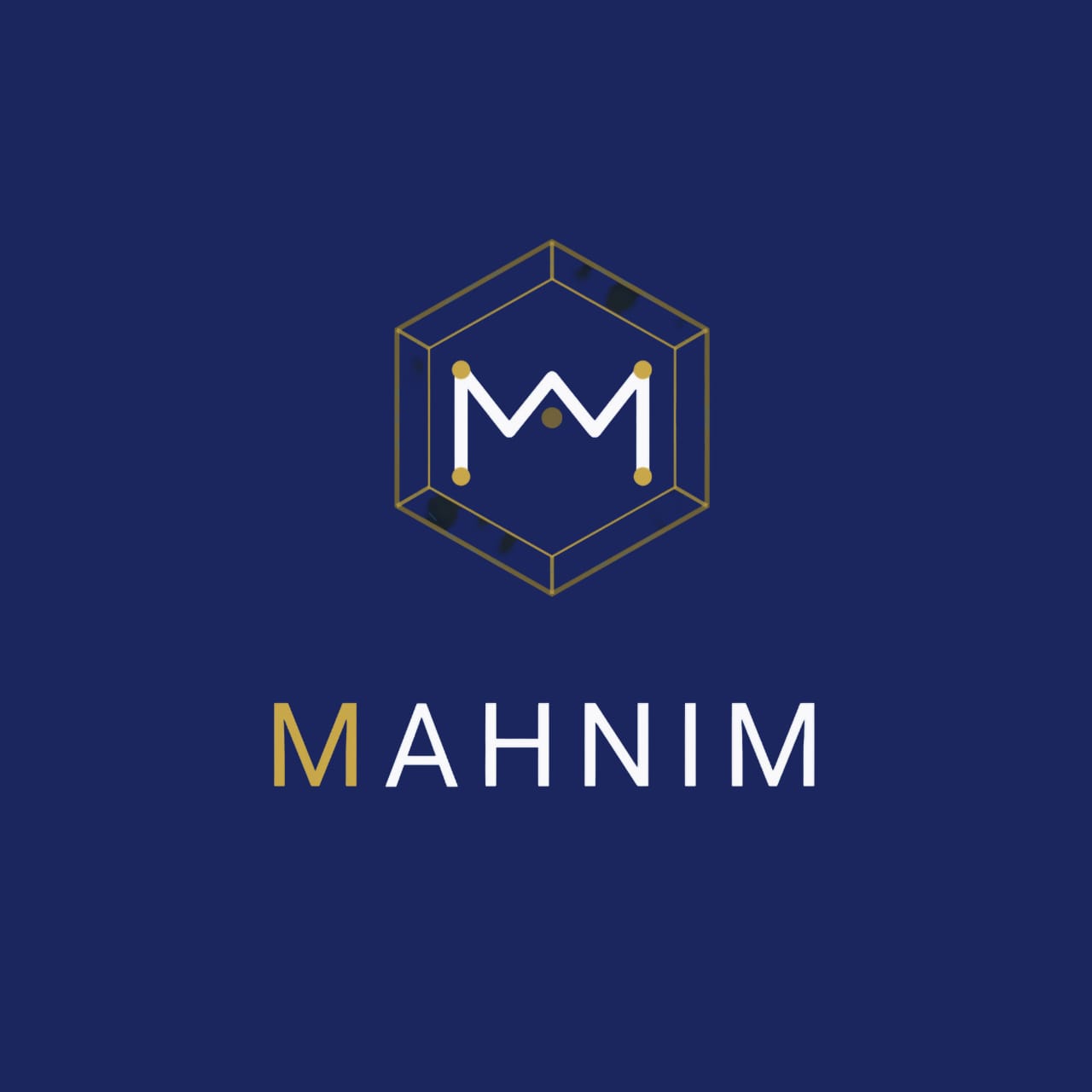Mahnim Integrated Services Ltd logo